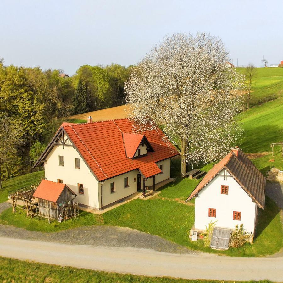 Vila Tourist Farm Rajsp Benedikt v Slovenskih Goricah Exteriér fotografie